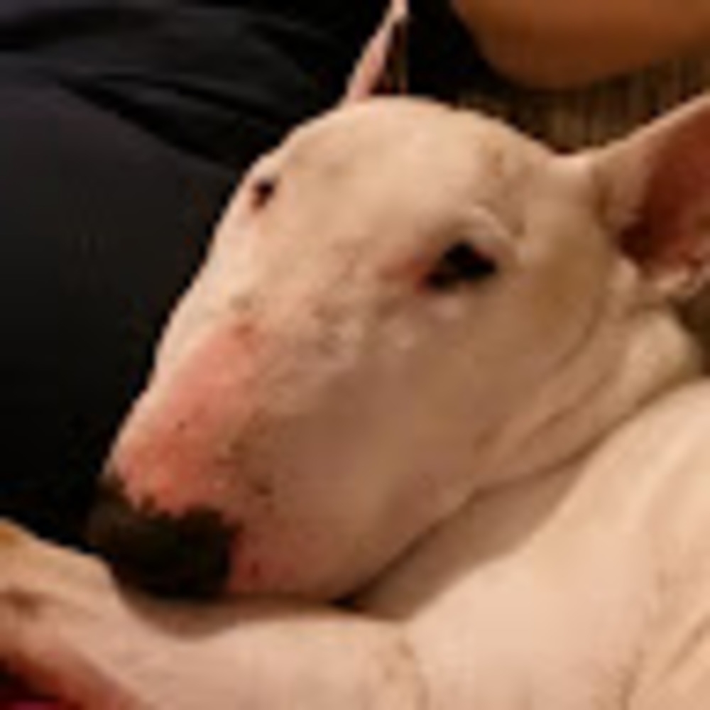 Meet your Posher, Roma